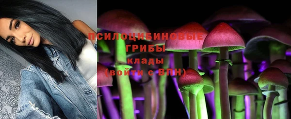 трава Магас