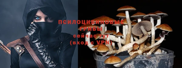 шишки Мегион