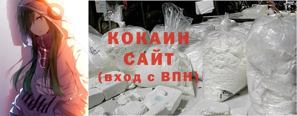 трава Магас