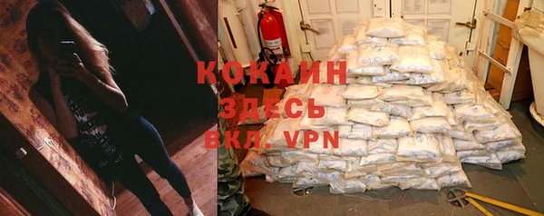 трава Магас